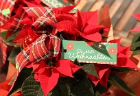 Weihnachtsfeier