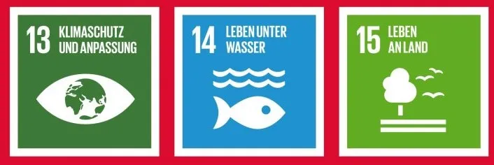 SDGs German Red