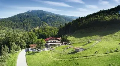 Sommerfest 2023