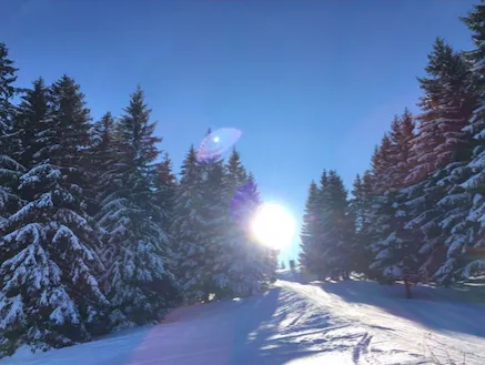 WJ Sportlich - Schlittenfahren/Wandern